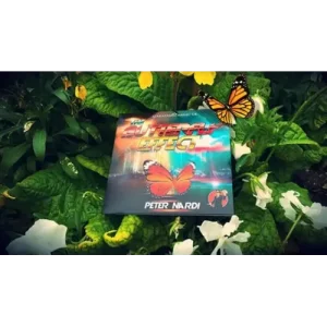 The Butterfly Effect by Peter Nardi