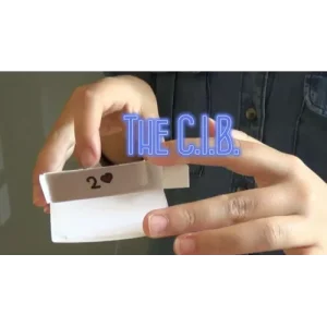 The C.I.B by Chiara Dalpasso