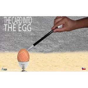 The Card Into The Egg by Alan