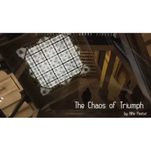 The Chaos Of Triumph by Kiko Pastur