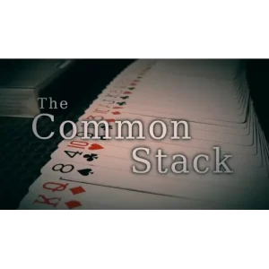 The Common Stack by Carl Irwin