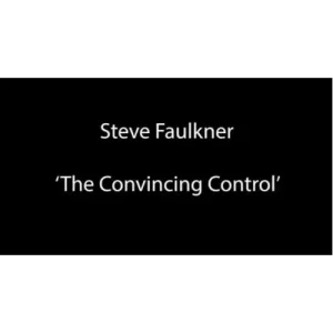 The Convincing Control by Steve Faulkner