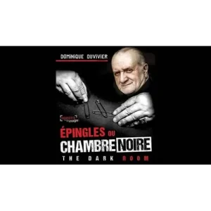 The Dark Room (Bilingual) by Dominique Duvivie