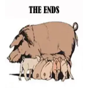 The Ends by Nathan Kranzo