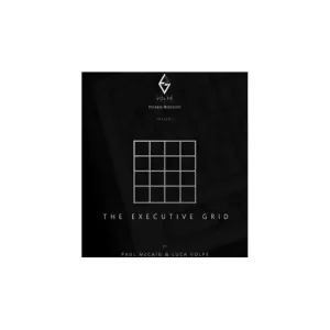 The Executive Grid by Luca Volpe And Paul Mccaig