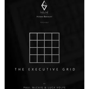 The Executive Grid by Paul Mccaig