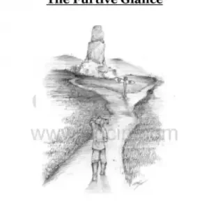 The Furtive Glance by Liam Montier