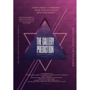The Gallery Prediction by Amir Mughal
