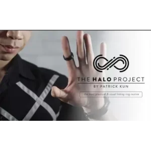 The Halo Project by Patrick Kun