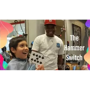 The Hammer Switch by Joshua Bierbrauer