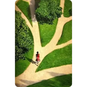 The Illusion Of Choice by Art Vanderlay