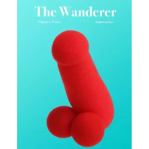 The Jerx – August 2020 – The Wanderer 1 Issue 5 by Andy