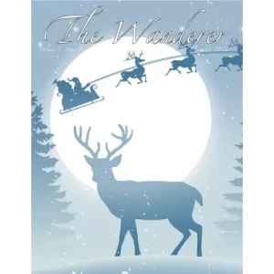 The Jerx – December 2020 – The Wanderer 1 Issue 9 by Andy