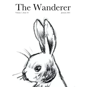 The Jerx – January 2021 – The Wanderer 1 Issue 10 by Andy
