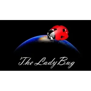 The Ladybug by Hugo Valenzuela