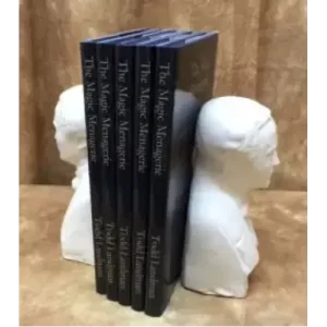 The Magic Menagerie by Todd Landman