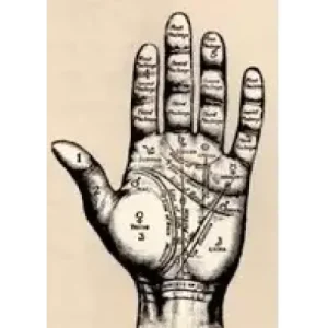 The Magician’s Guide To Palm Reading by Paul Voodini