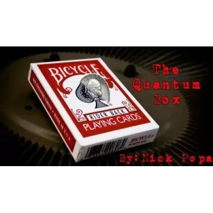 The Quantum Box by Nick Popa