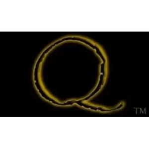 The Quantum Connection by Cosmo Solano