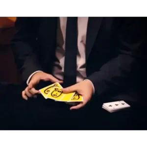 The Quantum Monkey by Pipo Villanueva