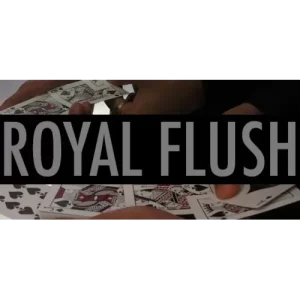 The Royal Flash by Vivek Singhi