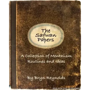 The Safwan Papers by Bryn Reynolds