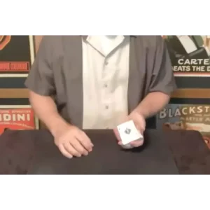 The Salad Transformation by Doug Conn