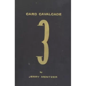 The Secret (French) by Sylvain Vip & Maxime Schucht