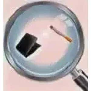 The Sneak Peeker by Aleksandar Nusic