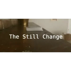 The Still Change by Cid