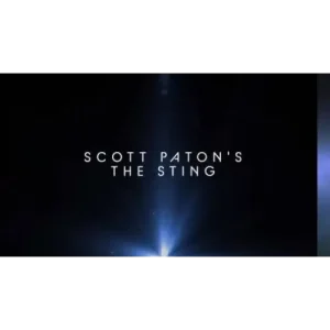 The Sting by Scott Paton