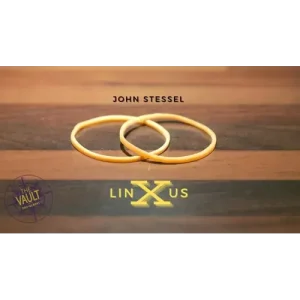 The Vault – Linxus by John Stessel