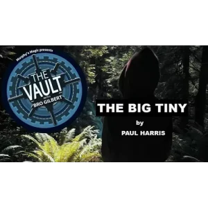 The Vault – The Big Tiny by Paul Harris