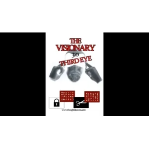 The Visionary 3.0 by Stephen Young