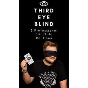 Third Eye Blind by Joe Diamond