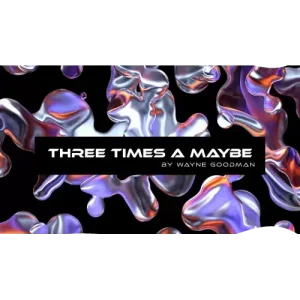 Three times a Maybe by Wayne Goodman