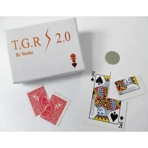 Together 2.0 by Snake