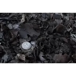 Toolbox 3 17 by Zee J. Yan