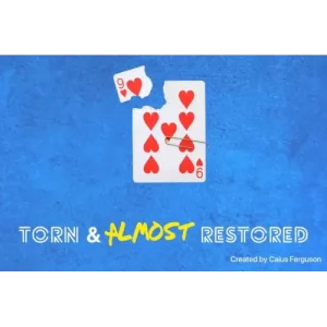 Torn & Almost Restored by Caius Ferguson