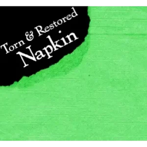 Torn And Restored Napkin