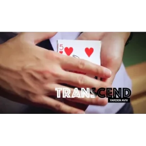 Transcend by Yarden Aviv