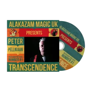 Transcendence by Peter Pellikaan