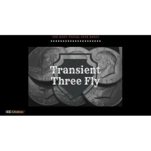 Transient Coins by Adam Grace