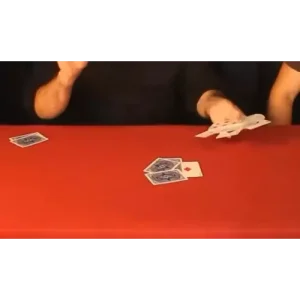 Transpotravel by Luis Olmedo