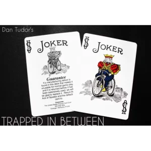 Trapped In Between by Dan Tudor