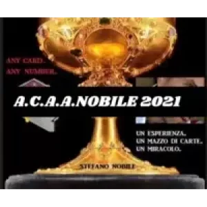 Travel A.C.A.A.N.. 2021 by Stefano Nobile