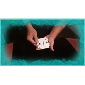 Traverse And The Great Houdini by Magical Creations Malone