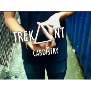 Trekant by Amanjit Singh