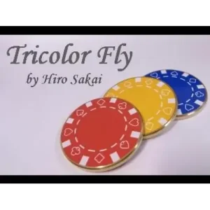 Tricolor Fly by Hiro Sakai