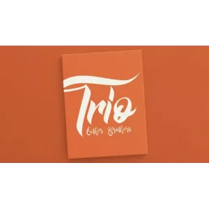 Trio by The Other Brothers